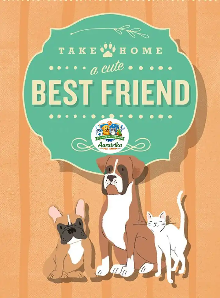 pet care services